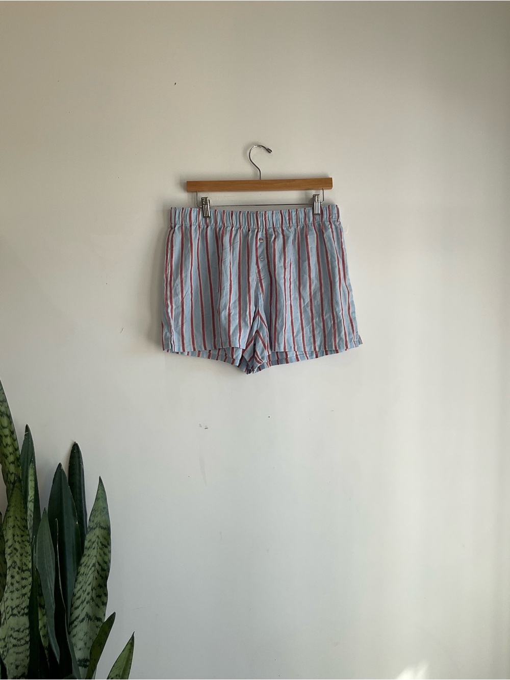 wild fable Light Blue Shorts with Red & White Stripes